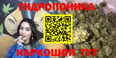 гидропоника Гусиноозёрск