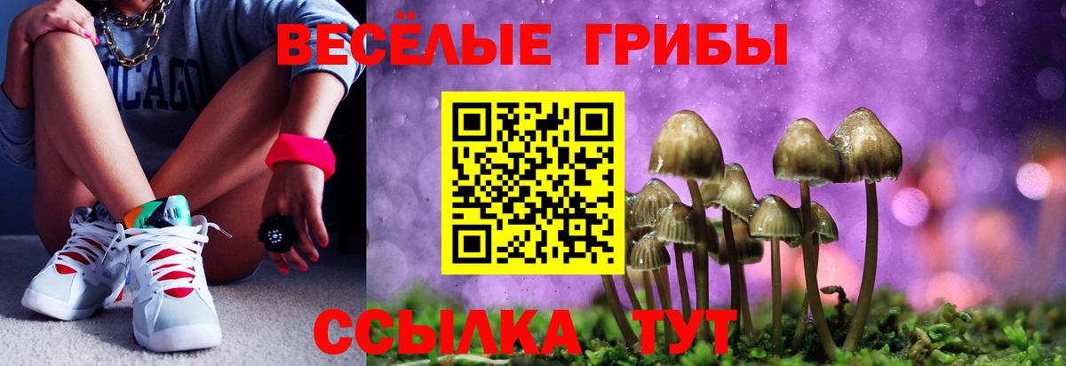 Галлюциногенные грибы Magic Shrooms Мурино